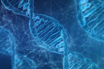 Gene_Longevity