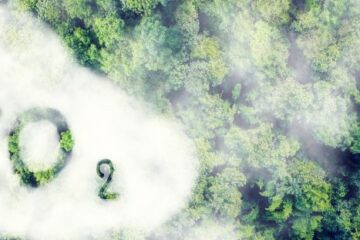 CO2-Freund oder Feind?